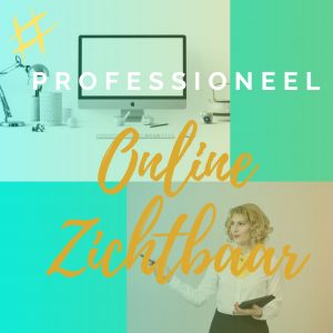 Professioneel Online Zichtbaar